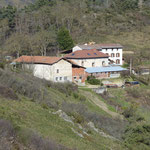 Tavel