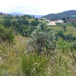 La Vorgère