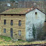 Anzon