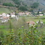 Anzon