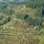 Anzon