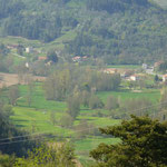 Collet