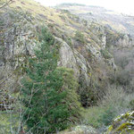 Rochefort - Vallée du Ciboulet