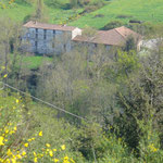 Fredifont