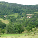 Dardes