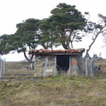 Serre