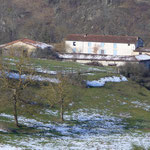 Fredifont