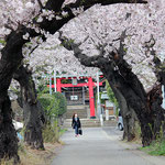 10.川和地区連合自治会　八幡神社の参道