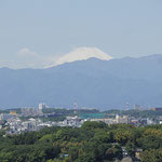 14.ふれあいの丘連合自治会　川和富士からの眺望