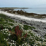 Shore of Papa Westray, the largest of the Orkney Islands
