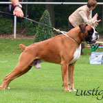 AMIGO V. RUSTICANA CH