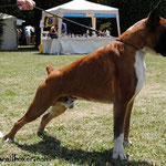 GRECO DE RINCOMAR CH