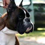 CH AXEL MOSE'