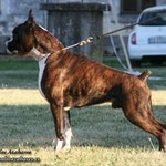 OTTO CASA LOS AZAHARES CH