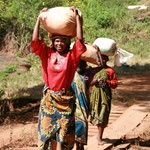 Frauen tragen Mais (je ca.25-30 kg) zur Mühle von Kindimba