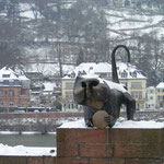 Die malerische Heidelberger Altstadt zur Adventszeit