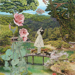 Rose   40 x 50