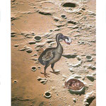 L'heure du dodo