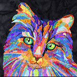Rainbow Cat