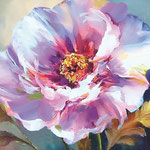 Poppy