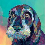 Dog II