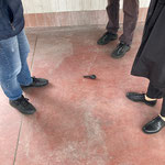 "Split Step", Luca Scarabelli, ph. Susanna Baumgartner