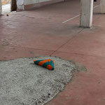 "Split Step", Giovanni Termini, ph. Ermanno Cristini