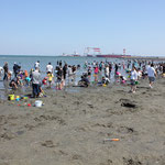 御殿場海岸(潮干狩り)