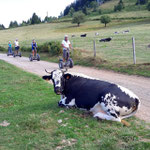 FUN MOVING gyropode Segway ALSACE VOSGES LACS