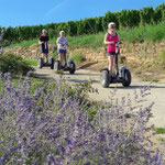 FUN MOVING gyropode Segway ALSACE VIGNOBLE OENOTOURISME