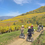 FUN MOVING gyropode Segway ALSACE - SCHLUMBERGER