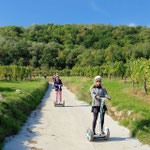 FUN MOVING gyropode Segway ALSACE VIGNOBLE OENOTOURISME