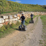 FUN MOVING gyropode Segway ALSACE VIGNOBLE OENOTOURISME