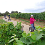 FUN MOVING gyropode Segway ALSACE VIGNOBLE OENOTOURISME