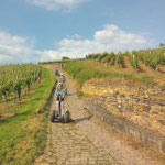 FUN MOVING gyropode Segway ALSACE VIGNOBLE OENOTOURISME