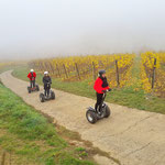 FUN MOVING gyropode Segway ALSACE VIGNOBLE OENOTOURISME