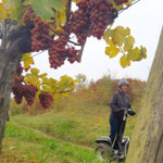 FUN MOVING gyropode Segway ALSACE VIGNOBLE OENOTOURISME