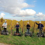 FUN MOVING gyropode Segway ALSACE VIGNOBLE OENOTOURISME