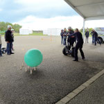 FUN MOVING gyropode Segway ALSACE INCENTIVE TEAM BUILDING SEMINAIRE