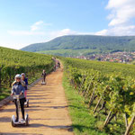 FUN MOVING gyropode Segway ALSACE VIGNOBLE OENOTOURISME