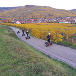 FUN MOVING gyropode Segway ALSACE VIGNOBLE OENOTOURISME