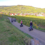 FUN MOVING gyropode Segway ALSACE VIGNOBLE OENOTOURISME