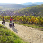 FUN MOVING gyropode Segway ALSACE VIGNOBLE OENOTOURISME