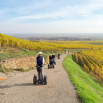 FUN MOVING gyropode Segway ALSACE - SCHLUMBERGER