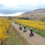 FUN MOVING gyropode Segway ALSACE VIGNOBLE OENOTOURISME