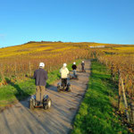 FUN MOVING gyropode Segway ALSACE VIGNOBLE OENOTOURISME