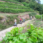 FUN MOVING gyropode Segway ALSACE - SCHLUMBERGER