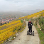 FUN MOVING gyropode Segway ALSACE VIGNOBLE OENOTOURISME