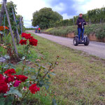 FUN MOVING gyropode Segway ALSACE VIGNOBLE OENOTOURISME