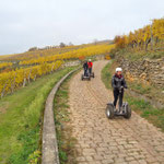 FUN MOVING gyropode Segway ALSACE VIGNOBLE OENOTOURISME